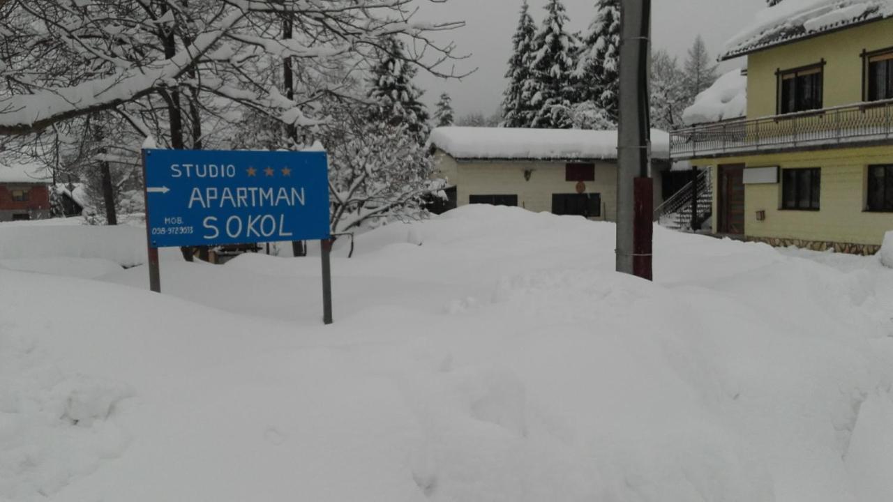 Sokol Apartment Ogulin Bagian luar foto