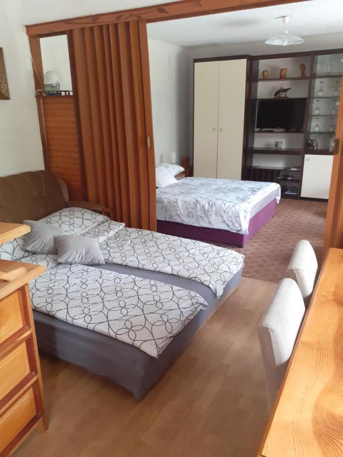 Sokol Apartment Ogulin Bagian luar foto