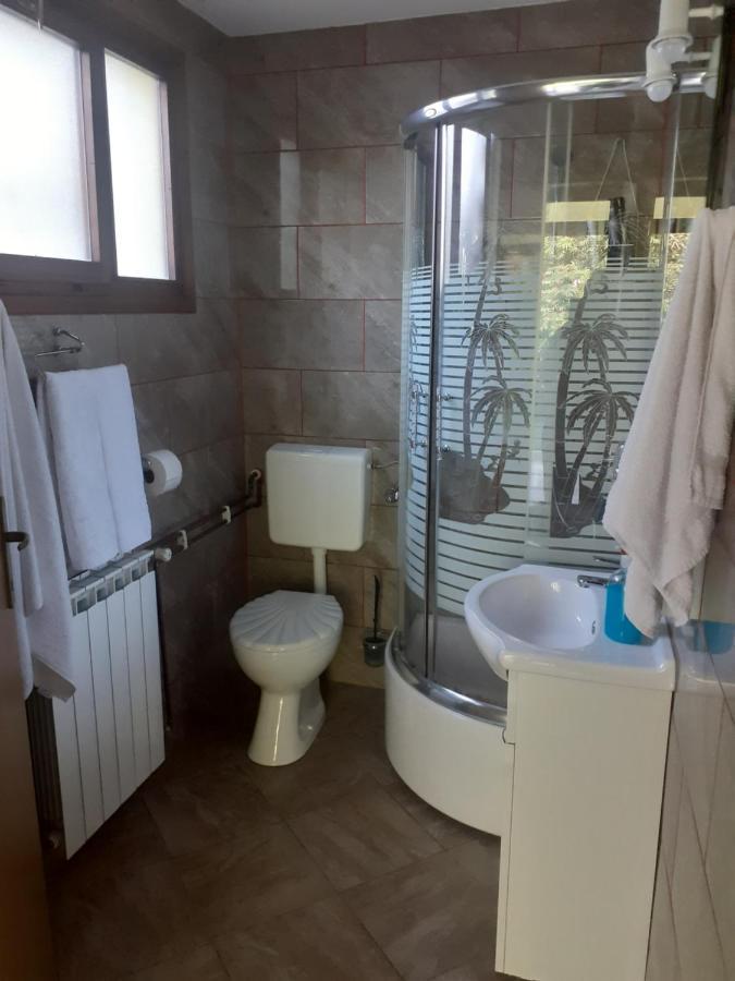 Sokol Apartment Ogulin Bagian luar foto