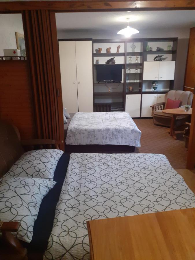 Sokol Apartment Ogulin Bagian luar foto