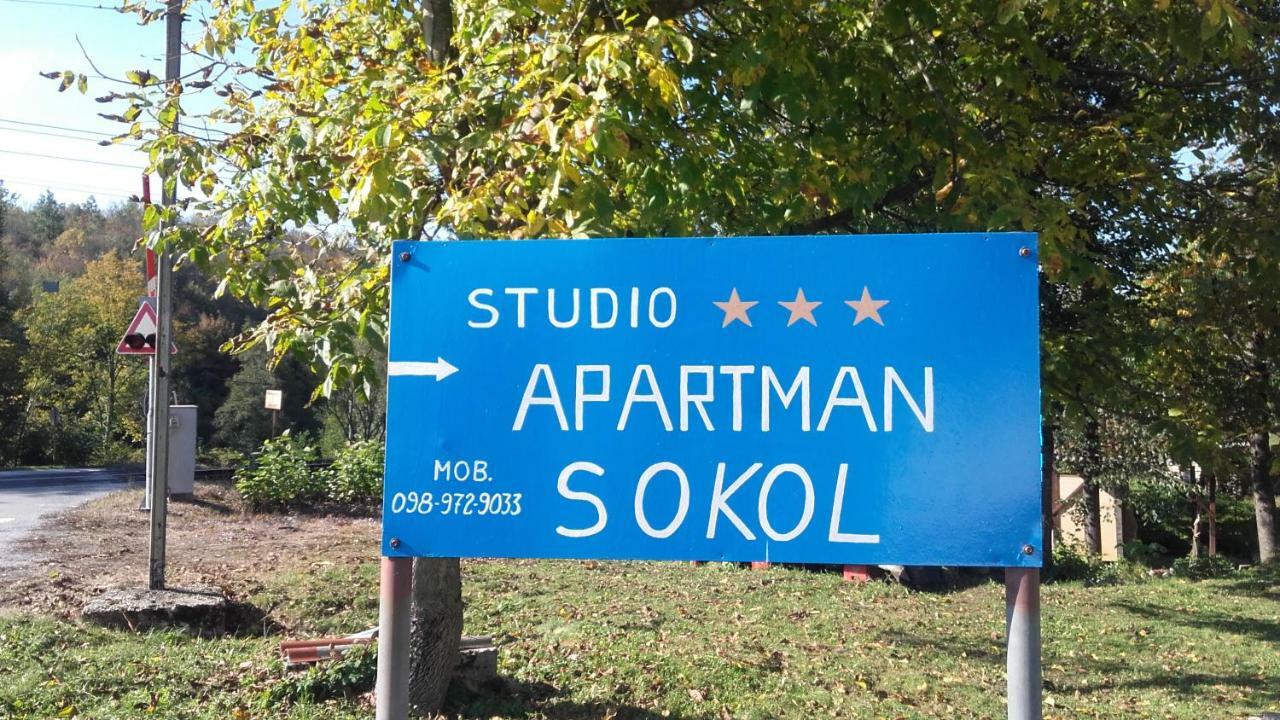 Sokol Apartment Ogulin Bagian luar foto